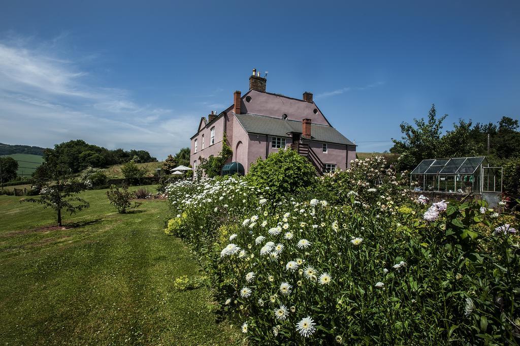 Wood Advent Farm Washford Εξωτερικό φωτογραφία