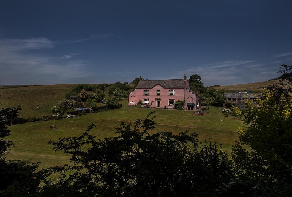 Wood Advent Farm Washford Εξωτερικό φωτογραφία